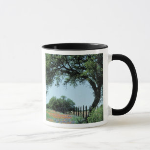 Caneca EUA, Texas, Texas Hill Country Paintbrush e