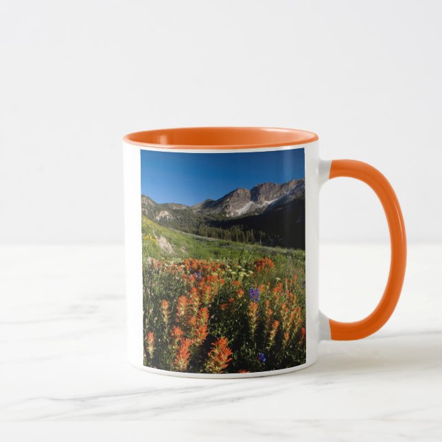 Caneca EUA, Utah, Floresta Nacional Uinta-Wasatch-Cache (Direita)