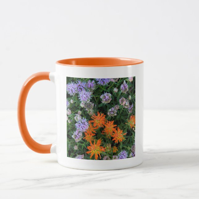 Caneca EUA, Utah, Floresta Nacional Uinta-Wasatch-Cache 3 (Esquerda)