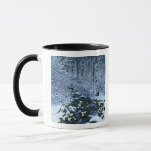 Caneca EUA, Utah, Floresta Nacional Wasatch-Catch,