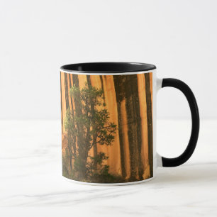 Caneca EUA, Utah, Parque Nacional Capitol Reef