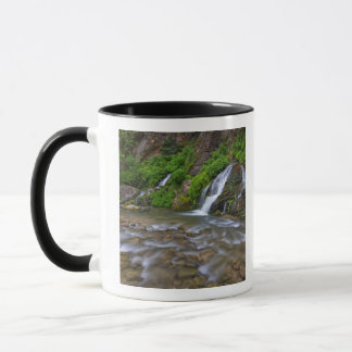 Caneca EUA, Utah, Parque Nacional de Zion. Grandes Nasce