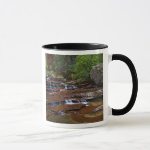 Caneca EUA, Utah, Parque Nacional Zion. Cênico a partir d