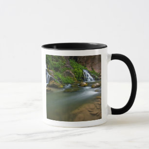 Caneca EUA, Utah, Zion National Park. A Virgem