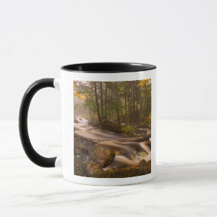 Caneca EUA, Vermont, East Arlington, Fluxo de córregos 2