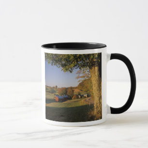 Caneca EUA, Vermont, Woodstock sul, fazenda de Jenne em