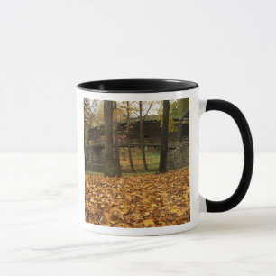 Caneca EUA, Virgínia, Covington, Humpback Coberta