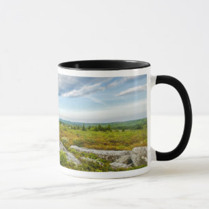 Caneca EUA, Virgínia Ocidental, Davis. Paisagem em Dolly