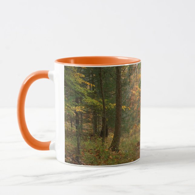 Caneca EUA, Virgínia, Outono no Douthat State Park (Esquerda)