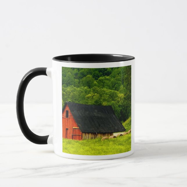 Caneca EUA, Virgínia, parque nacional de Shenandoah, 2 (Esquerda)