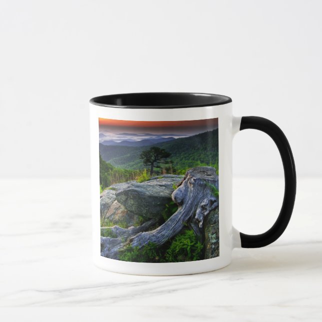Caneca EUA, Virgínia, Parque Nacional Shenandoah. (Direita)
