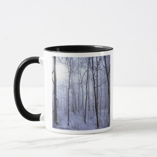 Caneca EUA, Virginia, Richard Thompson Wildlife Area. (Esquerda)