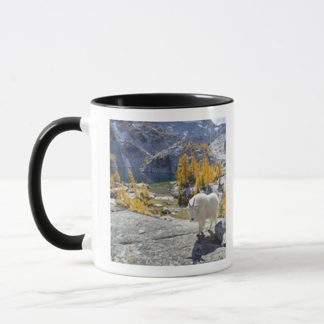 Caneca EUA, WA, latrinas de WIlderness dos Alpes. (Esquerda)
