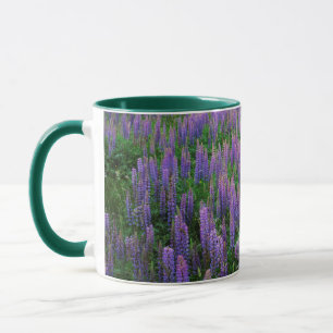 Caneca EUA, Washington, Clallam County, Lupine