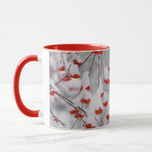 Caneca EUA, Washington, Condado de Spokane