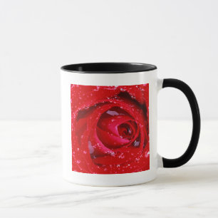 Caneca EUA, Washington, Condado de Spokane, Parque Manito