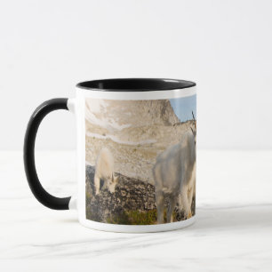 Caneca EUA, Washington, Cordilheira das Cascatas 2