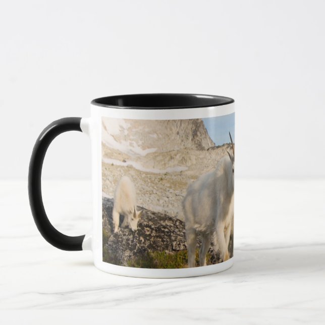 Caneca EUA, Washington, Cordilheira das Cascatas 2 (Esquerda)