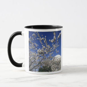 Caneca EUA, Washington DC. Festival das Cerejeiras em Flo