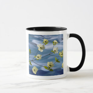 Caneca EUA, Washington, Hood Canal. Cornus do Pacífico