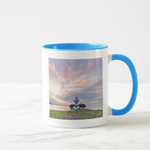 Caneca EUA, Washington, Ilhas San Juan. Pôr do sol