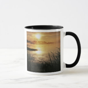 Caneca EUA, Washington, Lopez Island, Nevoeiro da manhã e