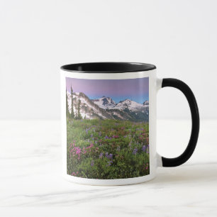 Caneca EUA, Washington, Montanhas Cascade, Norte