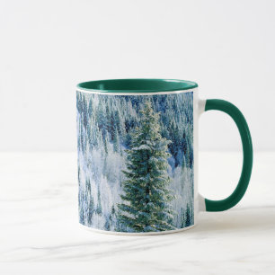 Caneca EUA, Washington, Mt. Spokane State Park, Aspen 2