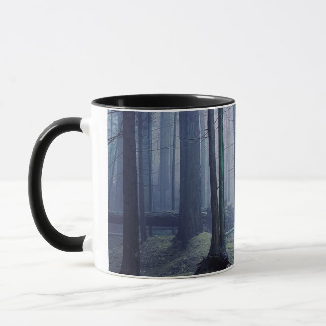 Caneca EUA, Washington, Orcas Island, Moran State Park (Esquerda)
