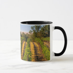 Caneca EUA, Washington Oriental, Vinhas Walla Walla