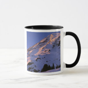 Caneca EUA, Washington, Parque Nacional Mt. Rainier
