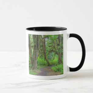 Caneca EUA, Washington, Parque Nacional Olimpiadas, Hoh