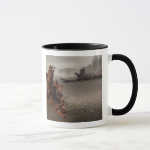 Caneca EUA, Washington, Parque Nacional Olimpiadas, Rialt