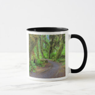 Caneca EUA, Washington, Parque Nacional Olímpico, Hoh 2