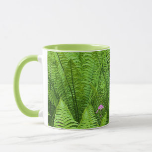 Caneca EUA, Washington, Seattle, Washington Park