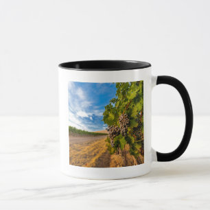 Caneca EUA, Washington, Vale de Yakima. Uvas Merlot