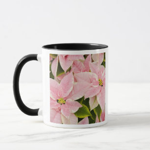 Caneca EUA, Washington, Woodinville, Molbak's Nursery, 4