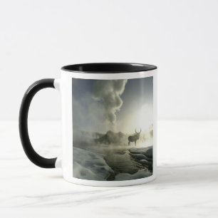 Caneca EUA, Wyoming, Parque Nacional de Yellowstone. Nasc