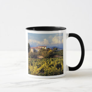 Caneca Europa, France, Bonnieux. Os vinhedos cobrem