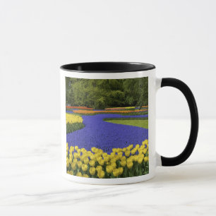 Caneca Europa, Países Baixos, Holanda, Lisse, Keukenhof