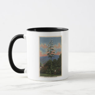 Caneca Fábrica do Século da Califórnia em Bloom