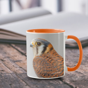 Caneca Falcão Americano Kestrel Sparrowhawk