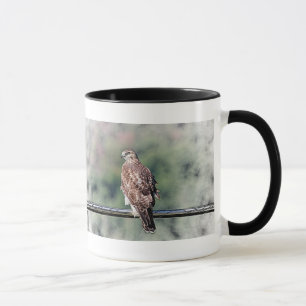 Caneca Falcão-de-cauda-vermelha imaturo