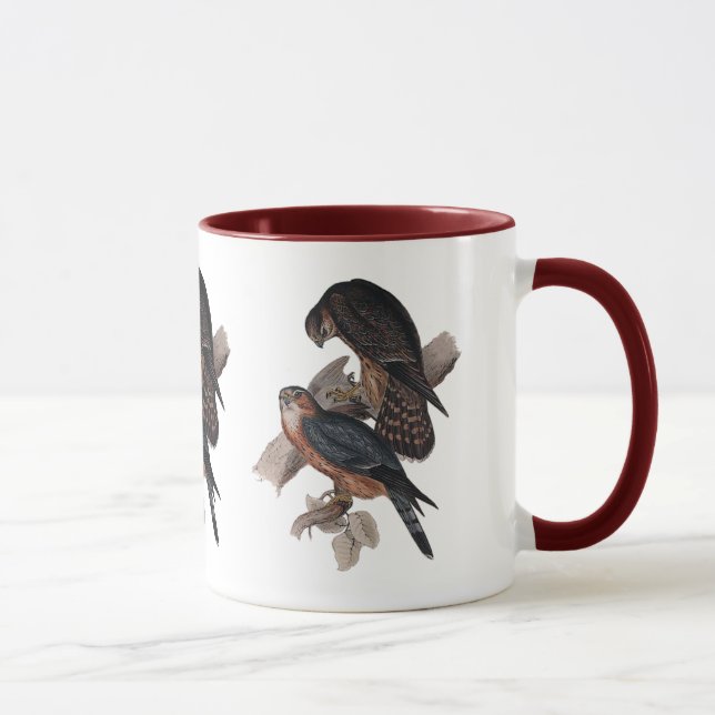 Caneca Falcão de Merlin ou de pombo (Direita)