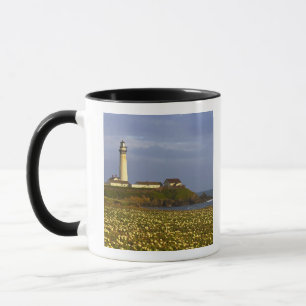 Caneca Farol em Pigeon Point State Beach em San
