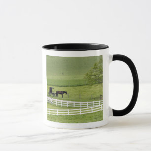 Caneca Fazenda Amish com cavalo e carruagem perto de Berl