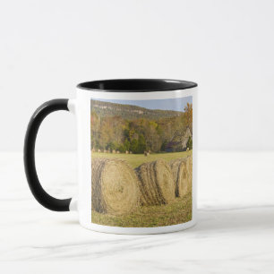 Caneca Fazenda histórica no rio Buffalo National,
