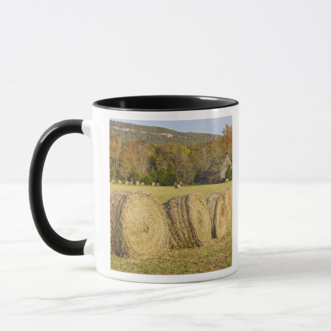 Caneca Fazenda histórica no rio nacional do búfalo, (Esquerda)
