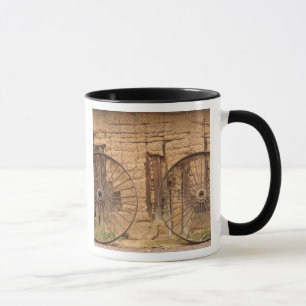 Caneca Fazenda Karanambu, Savana, Rupununi, Guiana, velho