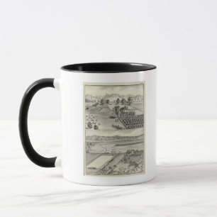 Caneca Fazendas, Capay Valley, Madison